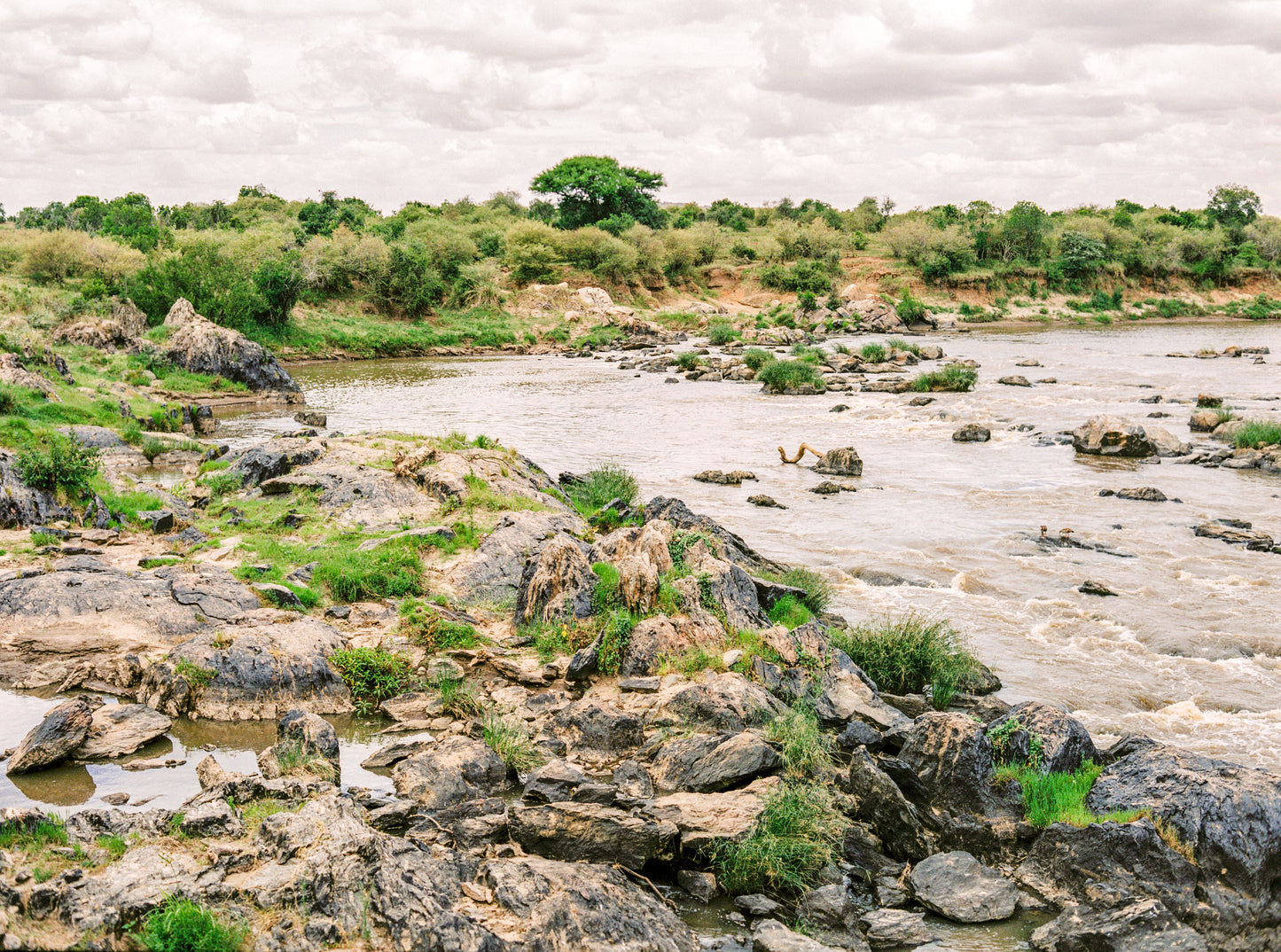 Fine art cards - Scenes of Africa