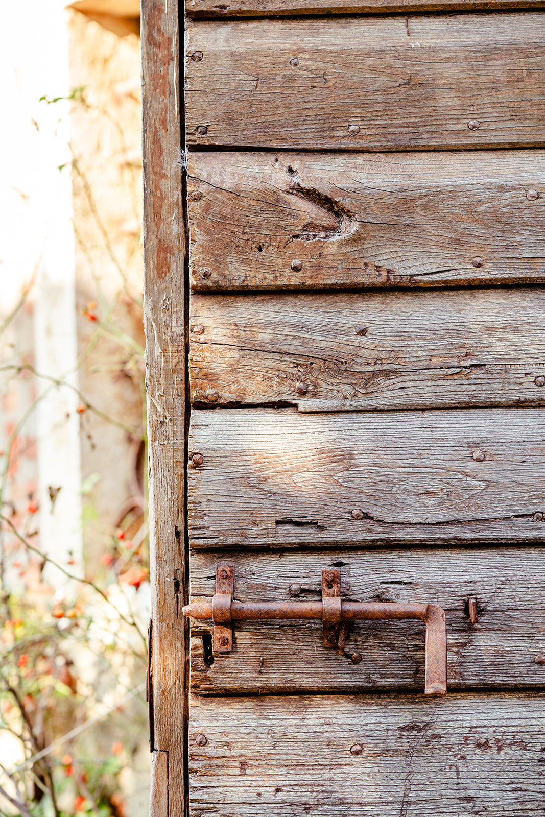 Fine art cards - Door Collection